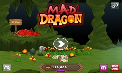 download Mad Dragon apk